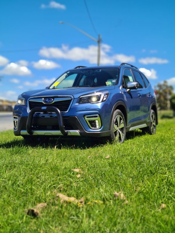 Forester (SK) Nudge bar (19 - 22)